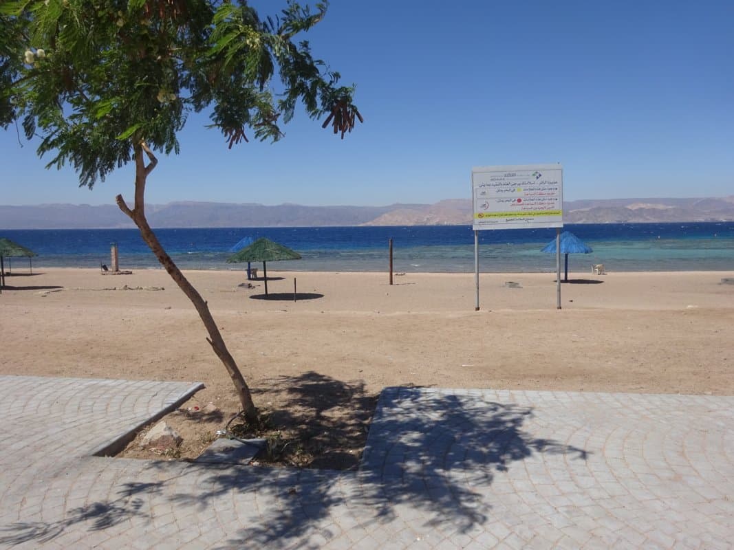Queen Alia Airport to Aqaba: Best Transfer Options (2026 Guide)