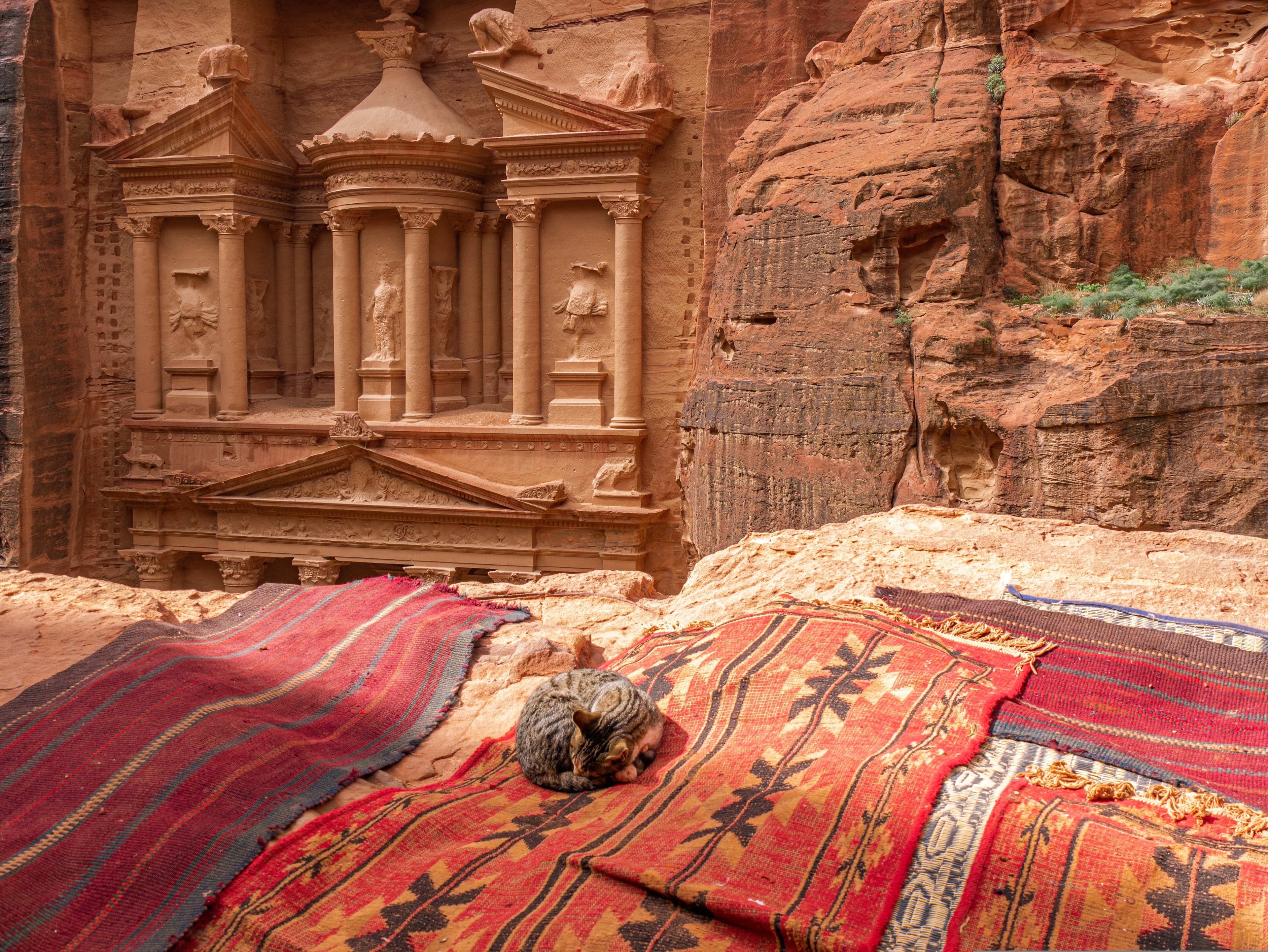 Amman Airport to Petra Transfer: Prices, Travel Time & Private Transfers